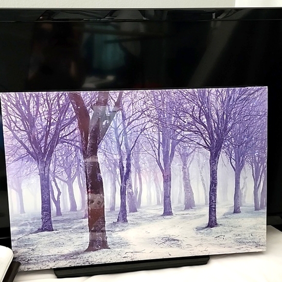 Canva Wall Art. Lighted. Forest with fog and snowy ground. - Picture 5 of 8